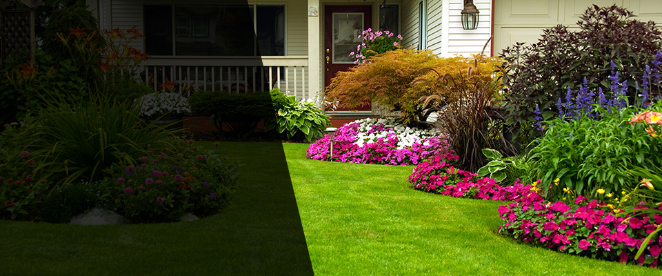 Prescott Valley Landscapers