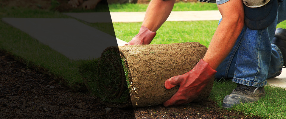 Prescott Valley Landscapers